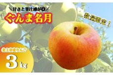 予約受付【 北上市産 りんご 】 ぐんま名月 3キロ (約8～12玉) 【 贈答用 / 数量限定 】10月下旬 発送開始予定 