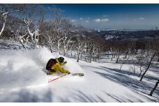 スーパー早割 シーズン券 [ 大人 ]　夏油高原 スキー場 早割 前売り シーズン券