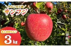 【 北上市産 りんご 】サンフジ 【厳選玉】 3キロ (約8～12玉)  贈答用 林檎 リンゴ サンふじ 3kg 国産 東北 岩手 産地直送 フルーツ 果物 岩手県 北上市 C0172 金鈴園 お土産 お取り寄せ グルメ 贈り物  ＼今なら決済から5営業日ほどで発送可能／