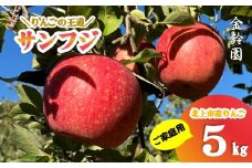 ＼予約受付 11月下旬より発送開始予定／【 北上市産 りんご 】サンフジ 【 家庭用 】 5キロ (約13～20玉)  林檎 リンゴ サンふじ 5kg 国産 東北 岩手 産地直送 送料無料 フルーツ 果物 岩手県 北上市 C0171 金鈴園 季節限定 秋 冬