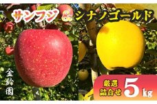 【北上市産 りんご 】サンフジ ＆ シナノゴールド 【 厳選 詰め合せ 】 5キロ セット (約13～20玉)  林檎 リンゴ 国産 産地直送 フルーツ 果物 岩手県 北上市 E0253 ※12/26までの決済で 年内発送 (北海道、沖縄、離島へのお届けは年内のお届けが難しい場合がございます。ご了承ください。)