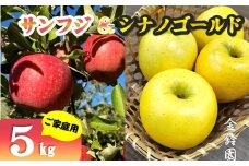 【 北上市産 りんご 】サンフジ ＆ シナノゴールド 【 家庭用 詰め合せ 】 5キロ セット (約13～20玉)   林檎 リンゴ サン ふじ 5kg 国産 東北 岩手 産地直送 フルーツ 果物 岩手県 北上市 D0453 金鈴園 季節限定 秋 冬 ＼今なら決済から5営業日ほどで発送可能／