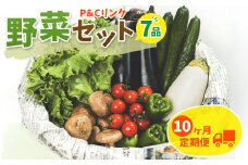 【10ヶ月定期便】  野菜セット 7品 季節 旬 野菜 詰め合せ 定期 国産 季節 旬 おまかせ 産地直送 春野菜 夏野菜 秋野菜 きのこ 葉物 果物 果菜 根菜 冷蔵 野菜室 ダイエット 食 栄養食 加工品 カット野菜 岩手県産 北上産 季節限定 山菜 ブロッコリー たまねぎ さつまいも とうもろこし サラダ トマト しいたけ アスパラガス 送料無料 岩手県 北上市 J0158
