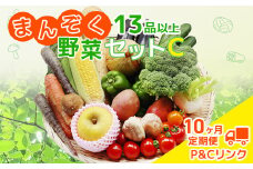 【 10ヶ月 定期便 】 野菜セット 13品 季節 旬 野菜 詰め合せ 定期 国産 季節 旬 おまかせ 産地直送 春野菜 夏野菜 秋野菜 きのこ 葉物 果物 果菜 根菜 冷蔵 野菜室 ダイエット 食 栄養食 加工品 カット野菜 岩手県産 北上産 季節限定 山菜 ブロッコリー たまねぎ さつまいも とうもろこし サラダ トマト しいたけ アスパラガス 送料無料 岩手県 北上市 Q0220
