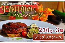 小春日和 ハンバーグ（デミグラスソース）3個セット 国産 牛肉 冷凍 調理済み お手軽 レンジ 岩手県 北上市 C0545 デミハンバーグ 惣菜 夕食 おかず シェフ 手作り