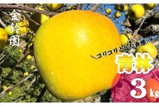 予約受付 / 数量限定【北上市産 りんご 】 青林  ( セイリン ) 【厳選玉】 3キロ (約9～13玉)  (11月下旬発送予定) 林檎 リンゴ 3kg 国産 東北 岩手 産地直送 フルーツ 果物 岩手県 北上市 D0447