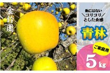 予約受付 / 数量限定【北上市産 りんご 】青林 ( セイリン ) 【 家庭用 】 5キロ (約13～20玉)  (11月下旬発送予定) 林檎 リンゴ 国産 産地直送 フルーツ 果物 岩手県 北上市 D0446