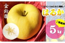 【北上市産】 はるか ＼残りわずか／ [ 家庭用 ] 5キロ (約13～18玉)  林檎 リンゴ 5kg 国産 産地直送 フルーツ 果物 岩手県 北上市 D0445 ＼今なら決済から5営業日ほどで発送可能／