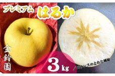 予約受付【北上市産】プレミアムはるか 【厳選玉】 3キロ (約9～12玉) 蜜入り (11月下旬発送予定) 国産 林檎 リンゴ はるか 果物 フルーツ 産地直送 旬 秋 冬 季節限定 金鈴園 岩手県 北上市 D0448