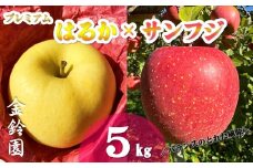 予約受付【北上市産 りんご 】プレミアムはるか ＆ サンフジ  [ 厳選 詰合せ セット ] 5キロ (約13～18玉)  (11月下旬発送予定) 林檎 リンゴ 国産 はるか サンふじ 産地直送 フルーツ 果物 岩手県 北上市 E0254