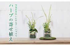 【空気をきれいにするアートフラワー】ハーブの寄せ植え インテリア 空気清浄  浄化 除菌 消臭 花 フラワー インテリア オブジェ ギフト プレゼント 贈り物  記念日 あとりえヒロ 岩手県 北上市 C0572