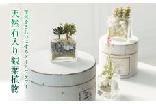 【空気をきれいにするアートフラワー】天然石入り観葉植物 インテリア 空気清浄  浄化 除菌 消臭 花 フラワー インテリア オブジェ ギフト プレゼント 贈り物  記念日 あとりえヒロ 岩手県 北上市 B0428
