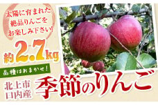 季節のりんご 約 2.7kg（8～10個） 口内産 9月発送開始 岩手県 北上市 産地直売所 あぐり夢 くちない B0417 品種おまかせ お試し ふじ シナノゴールド りんご リンゴ 林檎 果物 フルーツ おやつ お土産 お歳暮 お中元 お祝い 子供 ファミリー 家庭 