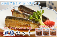 骨まで食べれる 簡単調理 「煮魚3種×3Pセット」（さば味噌煮1切、さんま生姜煮4切、いわし梅煮3切各3P） 国産 原料 惣菜 湯煎 レトルト 加熱済 常温保存 おかず お弁当 備蓄 保存食 ギフト 送料無料