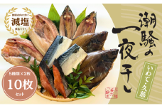 【健康干物】潮騒の一夜干し５種セット