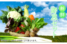 【安全・安心・産直直送！】季節の野菜詰め合わせ（おまかせセット）