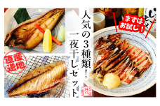 【健康干物】潮騒の一夜干し【まずはお試し！】人気の3種類！一夜干しセット