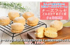 【定期便４カ月】こだわりの窯焼き「チーズブッセ」１０個入とおまかせ菓子５個×４ヵ月連続お届け