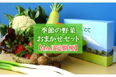 【安全・安心・産直直送！】季節の野菜詰め合わせ（おまかせセット）【４ヵ月定期便】