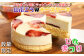 沢菊パティシエの技が光るレアチーズケーキ。
