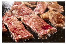国産飼料100％で育てた 山形村短角牛「厚切り！肩ロースステーキ300ｇ」いわて 山形村 短角牛 牛肉 牛 赤身 肩ロース 厚切り 300g ステーキ 国産飼料100％ 希少 貴重 数量限定 人気 BBQ バーベキュー パック 冷凍