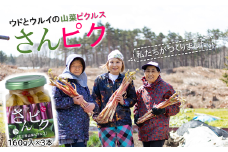 酸味ひかえめで「うまマイルド」！さんピクー北三陸山菜ピクルスー３本セット
