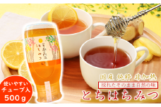 「平庭高原はちみつ（とち）500ｇ（チューブ入り）」国産 純粋 非加熱 無加糖 無添加 はちみつ 蜂蜜 ハニー 栃 ボトル 便利 人気 おすすめ 保存食 お取り寄せ 贈答 ギフト送料無料 岩手 久慈