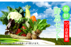 【安全・安心・産直直送！】季節の野菜詰め合わせ（おまかせセット）【10ヵ月定期便】
