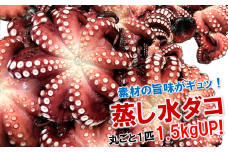 北三陸産 蒸し水ダコ丸ごと1匹 1.5kgUP