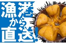 「7月中旬～下旬に発送！」数量限定 久慈市麦生産「黄金雲丹」170g（牛乳瓶入り 生うに 冷蔵）