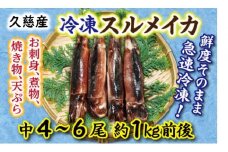 【久慈港水揚げ】冷凍スルメイカ中４～６本（約1ｋｇ前後）