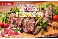 【山形村短角牛消費拡大応援企画品】山形村短角牛まるまる1頭山分けセット（10月お届け分）