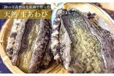 【期間限定】【とれたて産地直送】三陸の荒波で育った久慈産天然「生あわび」600ｇ