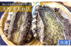 【期間限定】【とれたてを冷凍してお届け！】三陸の荒波で育った久慈産天然「あわび（生冷凍）」600g