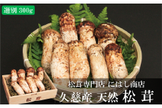 【季節限定】久慈産天然松茸「選別」300ｇ