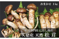 【季節限定】久慈産天然松茸「おまかせ」１kg