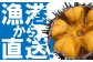 生うにが水揚げされた麦生漁港から瓶詰めして直送いたします！（※画像はイメージです。）