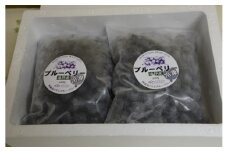 冷凍 ブルーベリー 大粒 合計 800g（400ｇパック2個入り） 門前おくでらブルーベリー園 岩手県 遠野市 産 お取り寄せ 産地直送 2025年産