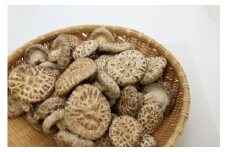 【品評会出品】遠野産 原木乾しいたけ