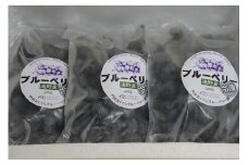 冷凍 ブルーベリー 大粒 1.2kg （400ｇパック3個入り） 門前おくでらブルーベリー園 岩手県 遠野市 産 お取り寄せ 産地直送 2025年産
