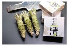 【生産者直送】根わさび 真妻 200g (3～4 本)   と たっそべ漬け（粕漬）のセット 山葵用おろし金付【葵食品】 生産者直送 生 新鮮 岩手県 遠野市 特産 /刺身 お肉 ステーキ 薬味 わさび丼 わさび漬