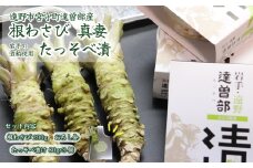 【生産者直送】根わさび 真妻 200g (3～4 本)   と たっそべ漬け（粕漬）のセット 山葵用おろし金付【葵食品】 生産者直送 生 新鮮 岩手県 遠野市 特産 /刺身 お肉 ステーキ 薬味 わさび丼 わさび漬
