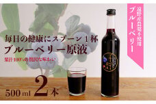 【農薬不使用】遠野のブルーベリーから絞った原液2本セット【道の奥ファーム】