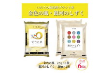 令和5年米【岩手県新ブランド米】「金色の風」「銀河のしずく」食べ比べ合計6kgセット【コメマルシェ河判】
