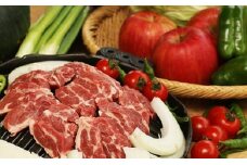 【遠野 ふるさと 野菜便 】と ジンギスカン セット じんぎすかん たれ ヘルシー 岩手県 人気 売れ筋 お取り寄せ グルメ バーベキュー BBQ  赤身肉 遠野市