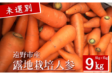 【先行予約】遠野市産 露地栽培人参【8㎏+1kg】