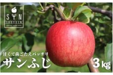 【 令和7年産 先行予約 】【ご贈答にも】 松陽園 樹上完熟 りんご サンふじ 3kg  岩手県遠野市  【2025年11月中旬ごろから発送予定】 農家直送