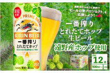 キリン 一番搾り とれたてホップ 生ビール 500ml × 12本  ＜ 遠野産ホップ 使用 ＞ 限定 出荷 ビール お酒 BBQ 宅飲み 家飲み 晩酌 ギフト 缶ビール KIRIN 麒麟 きりん キリンビール 人気 ＜ ビールの里 農家 支援 応援 ＞ 