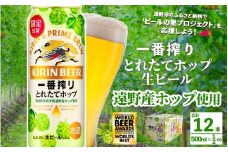 キリン 一番搾り とれたてホップ 生ビール 500ml × 12本 【 先行予約 2025年11月4日より順次発送 】 ＜ 遠野産ホップ 使用 ＞ 限定 出荷 ビール お酒 BBQ 宅飲み 家飲み 晩酌 ギフト 缶ビール KIRIN 麒麟 きりん キリンビール 人気 ＜ ビールの里 農家 支援 応援 ＞ World Beer Awards 2025 International Lager 世界一