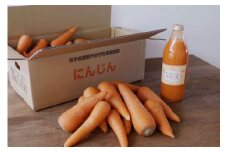 遠野市産訳あり露地栽培人参＆ジュースセット【6kg+1?】
